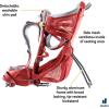 image:imageDeuter Kid Comfort Child Carrier Hiking Backpack I Active Standard Fit amp Active SL Womens FitCurrant